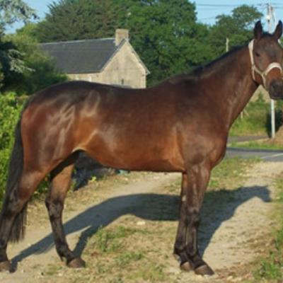 Ils sont passés par là...