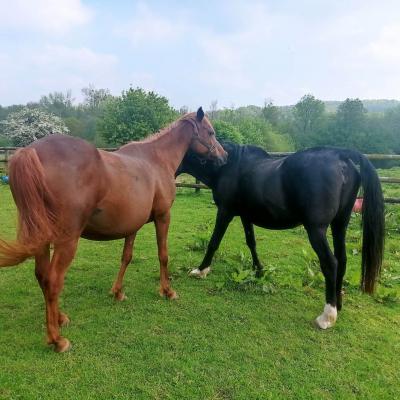 Gi Hasna (Arabe) & Eloïse Von Osterbyholz (Arabe)