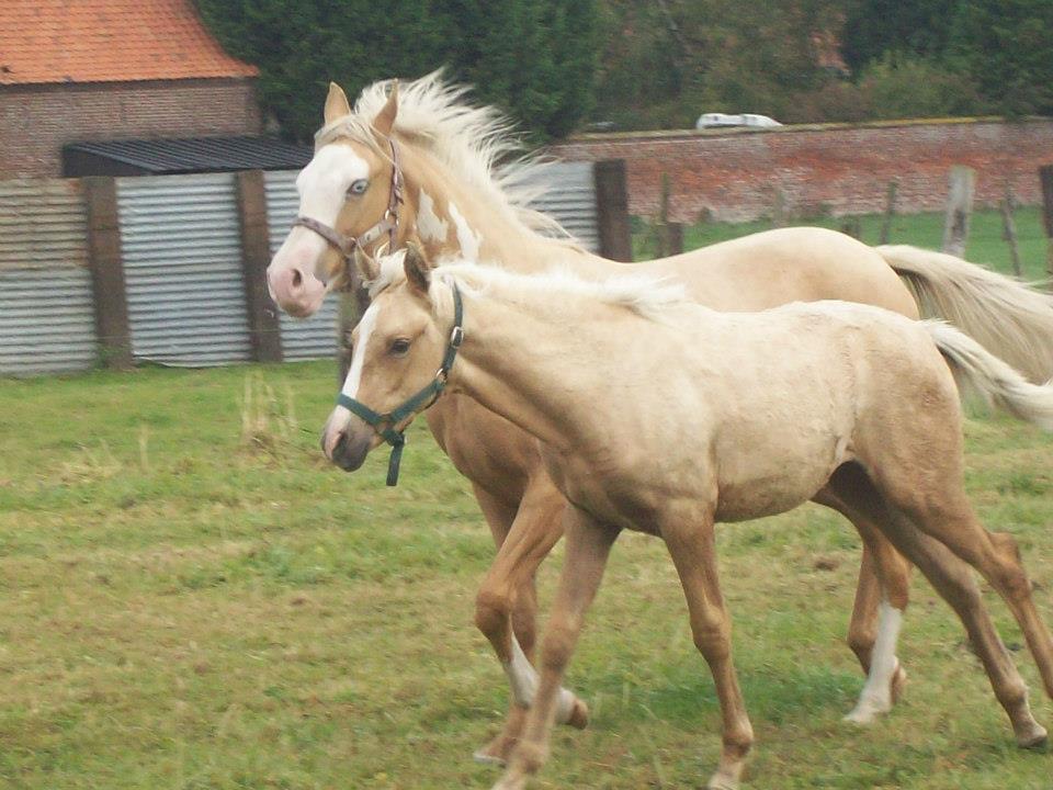 Septembre 2012 avec Cocktail des Chtits