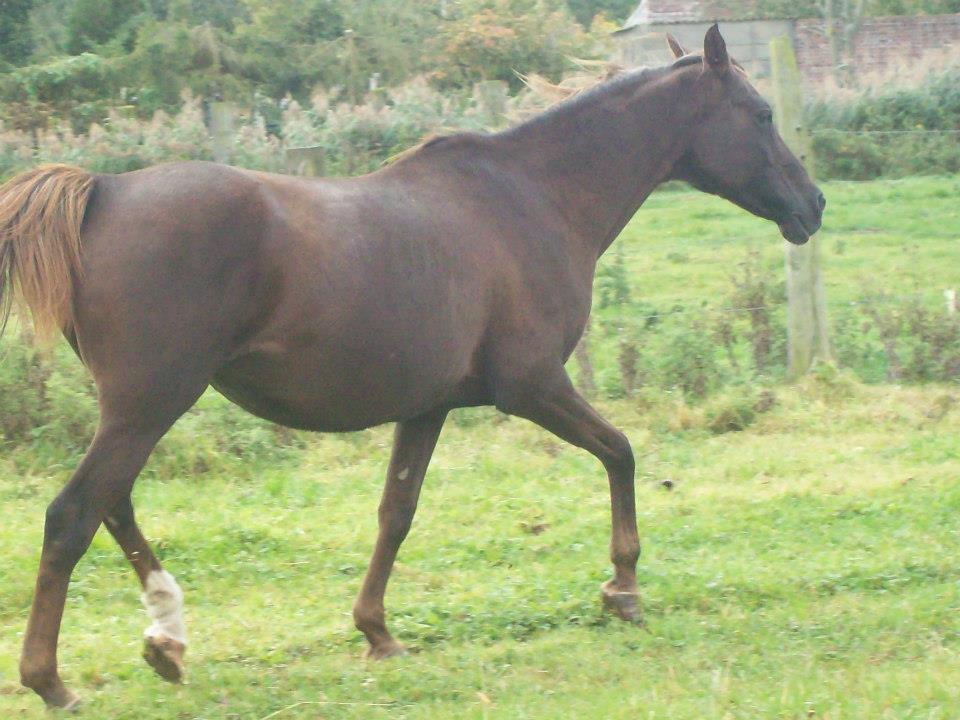 Fany de Grimomont (OES) - Eté 2012