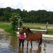 Cheyenne Dla Longère (Oc Type Poney D -