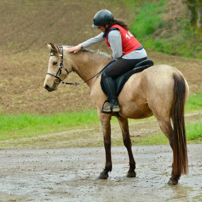 Happy Time de Corbion (DSA)