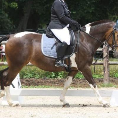 Darling Love (OC type Selle)