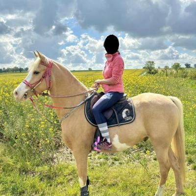 Idalgo de Corbion (DSA)