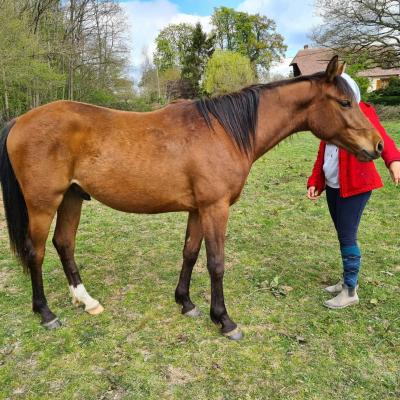 Junko de Matidou (OC type Selle)