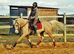 Azmar de Beaubeck (DSA)