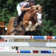 Blue Tinka Tilia (PFS)