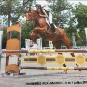 Calibure (OC type Selle)