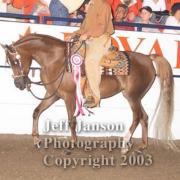 Gold N Serenity (Arabe)