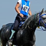 Lahouar Al Shatane (Barbe)