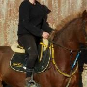 Orient Al Maleek (Arabe)